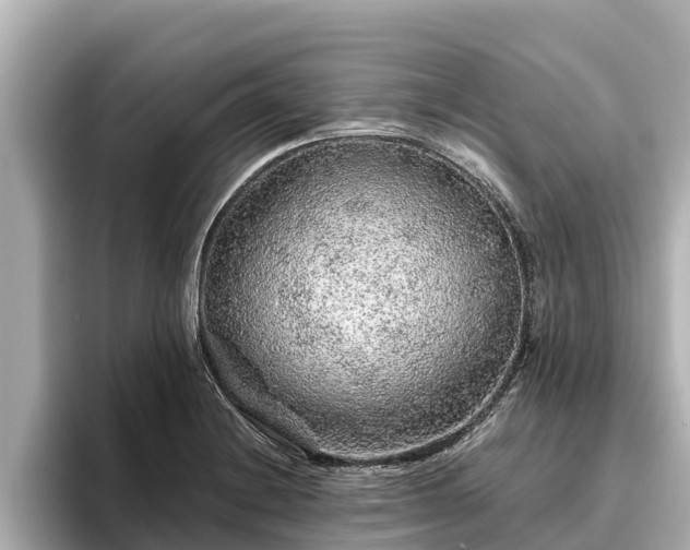X0000096421228200801311406