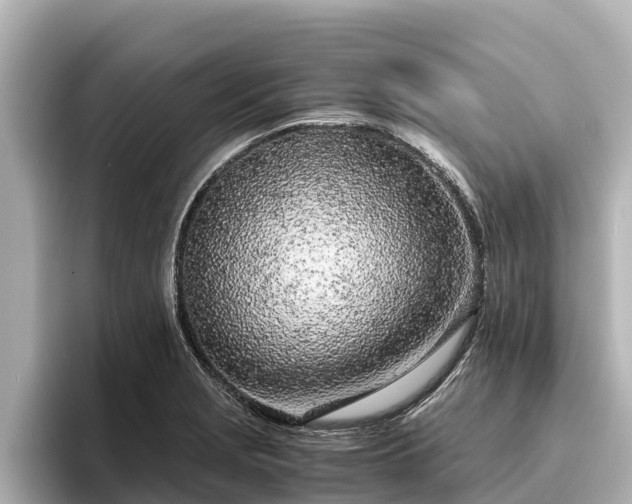 X0000096421229200801311406