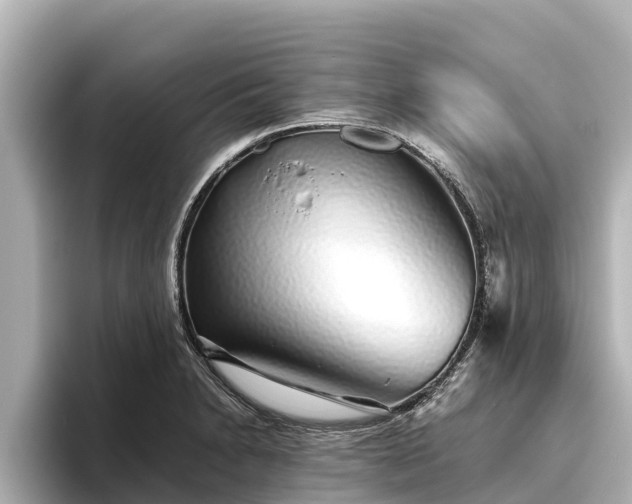 X0000096421230200801311406
