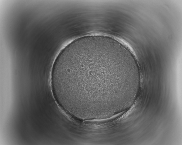 X0000096421231200801311406