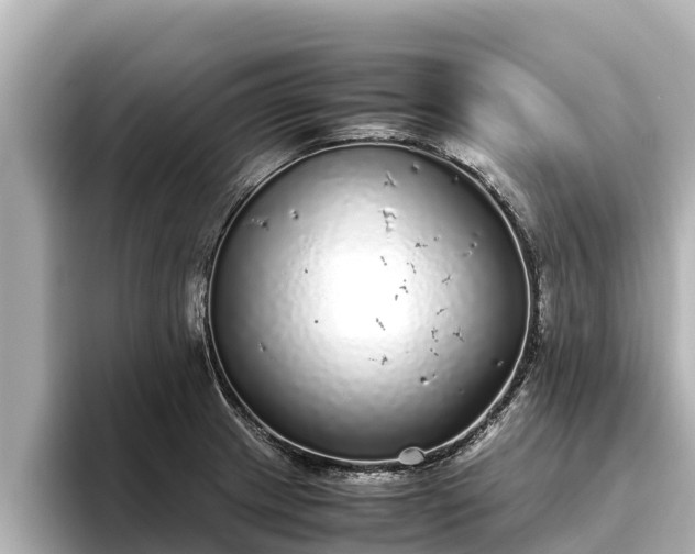 X0000096421233200801311406