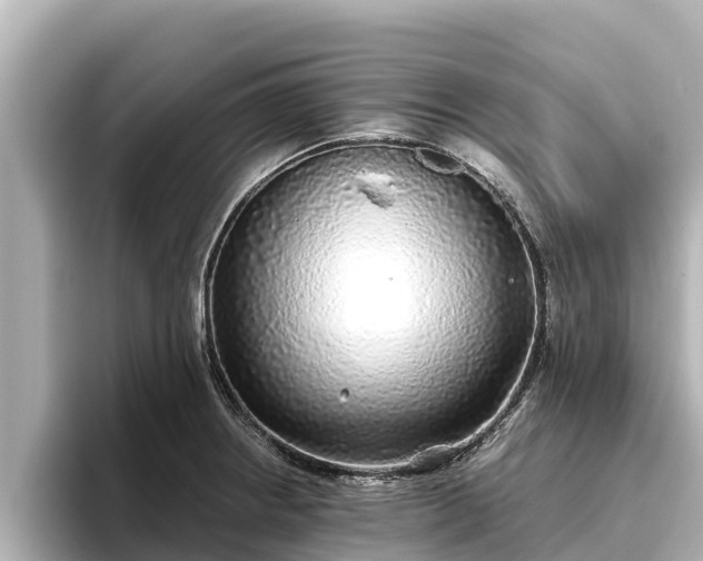X0000096421234200801311406