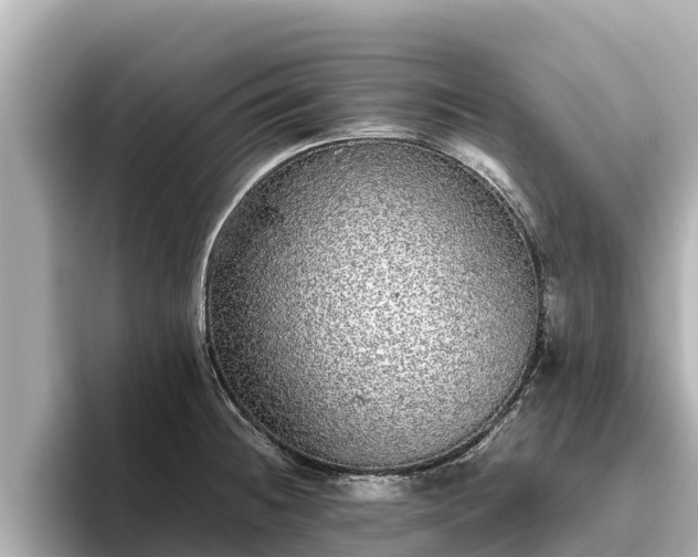 X0000096421236200801311406