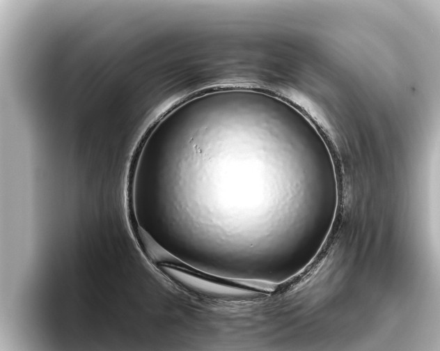 X0000096421237200801311406