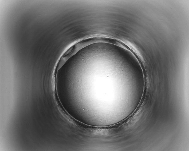 X0000096421238200801311406