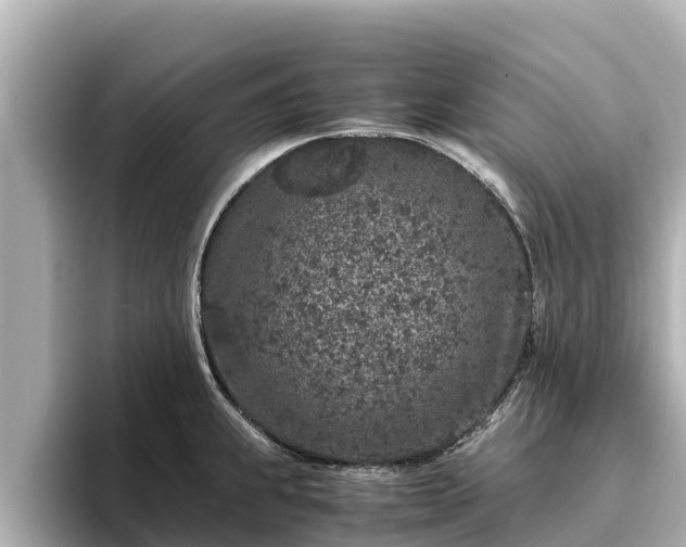 X0000096421239200801311406