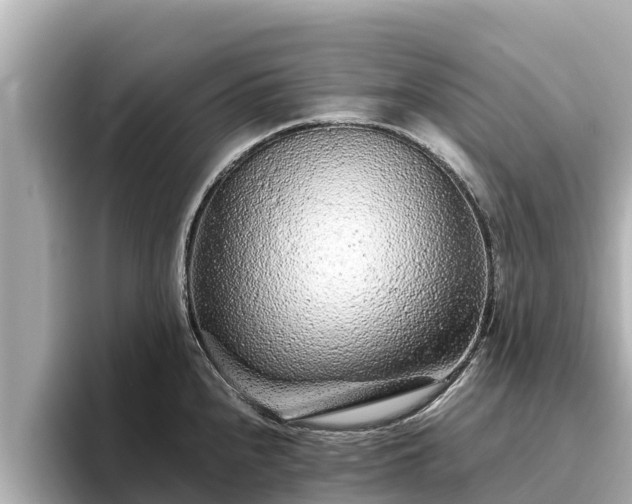 X0000096421240200801311406