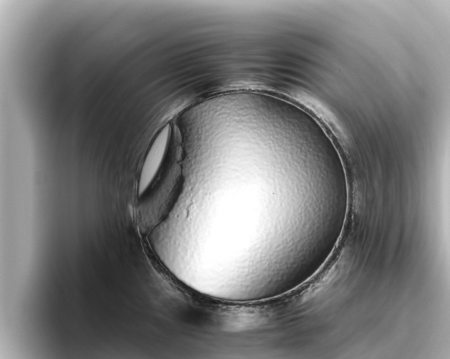 X0000096421241200801311406