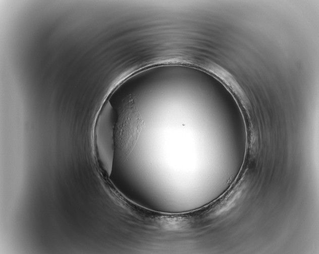 X0000096421242200801311406