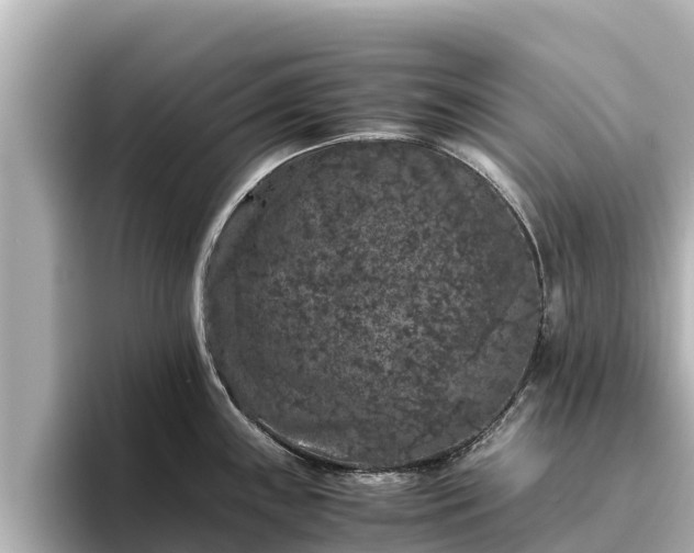 X0000096421243200801311406