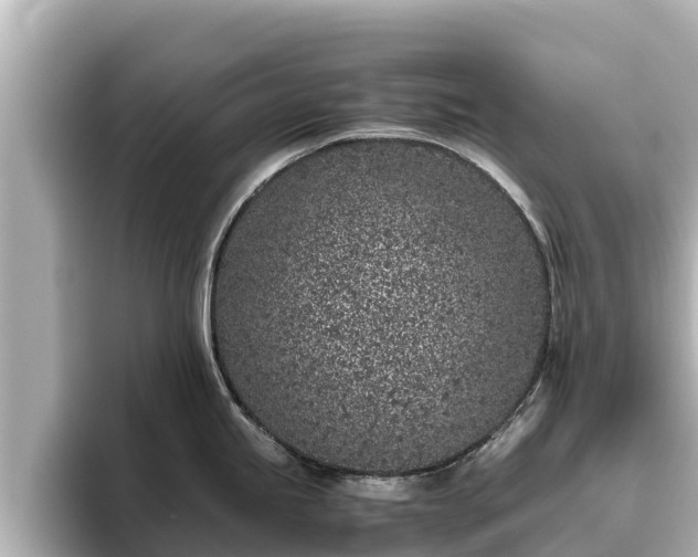 X0000096421245200801311406