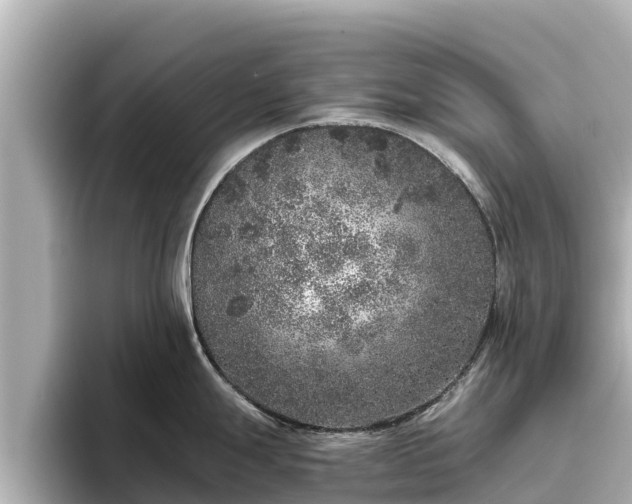 X0000096421247200801311406