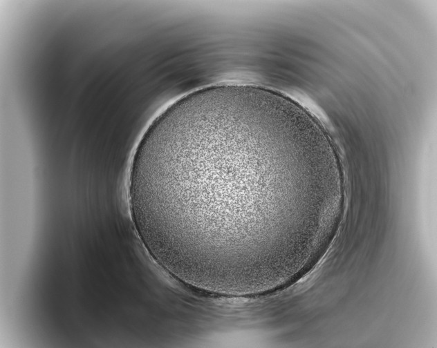 X0000096421248200801311406