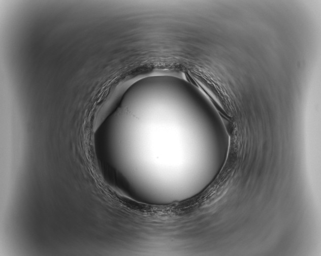 X0000096421249200801311405