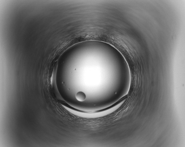 X0000096421250200801311405
