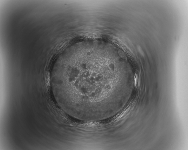 X0000096421251200801311405