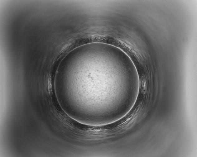 X0000096421252200801311405