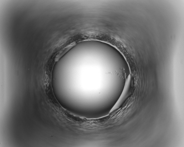 X0000096421253200801311405