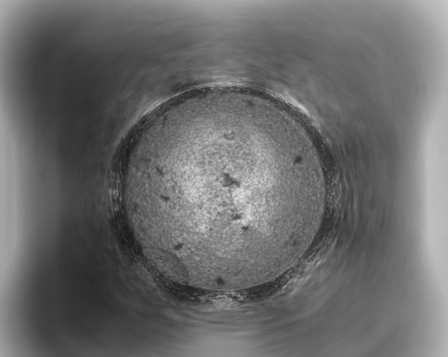 X0000096421255200801311405