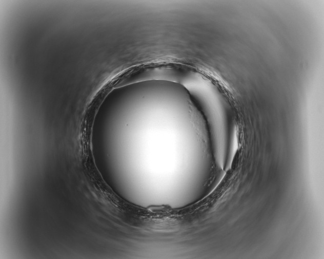 X0000096421256200801311405
