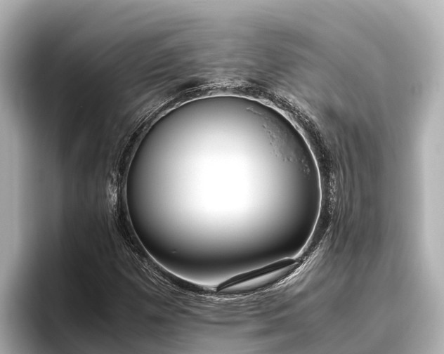 X0000096421257200801311405