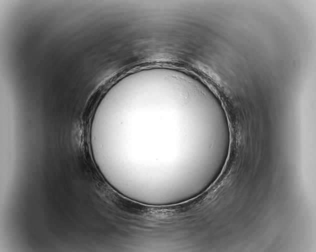 X0000096421258200801311405