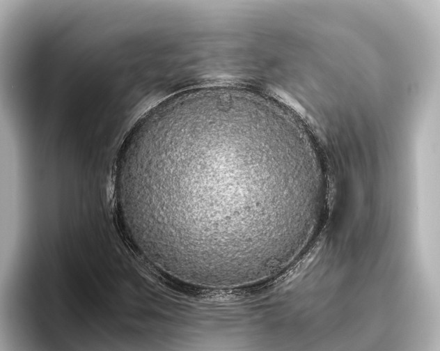 X0000096421259200801311405
