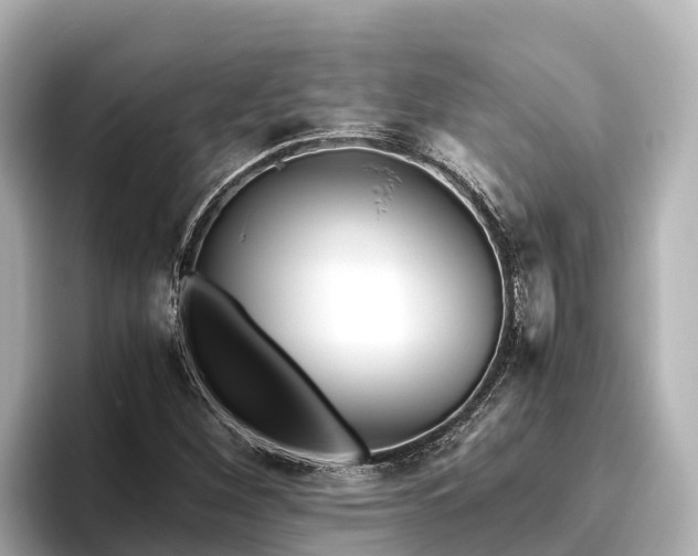 X0000096421260200801311405