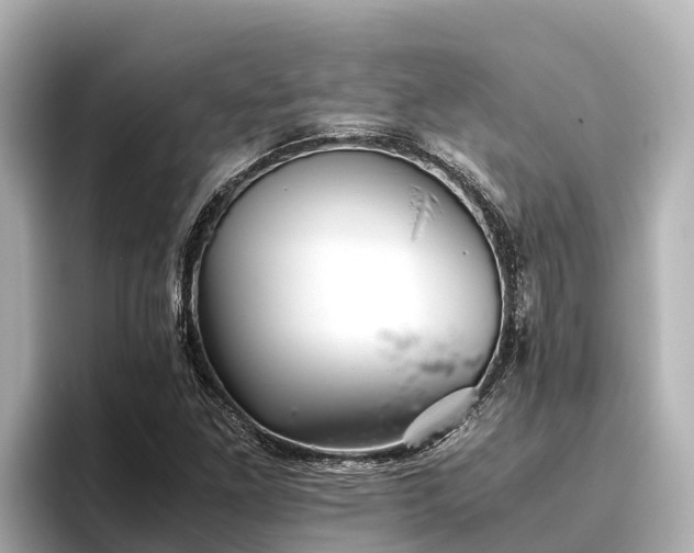 X0000096421261200801311405