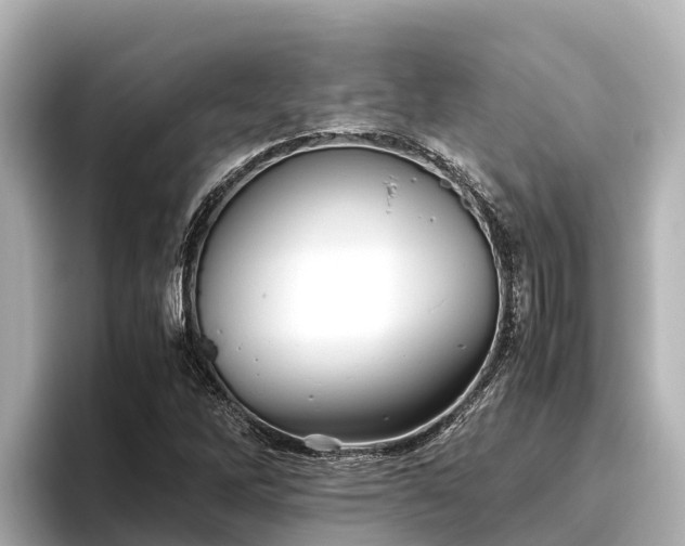 X0000096421262200801311405