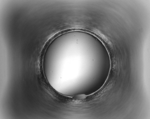X0000096421264200801311405