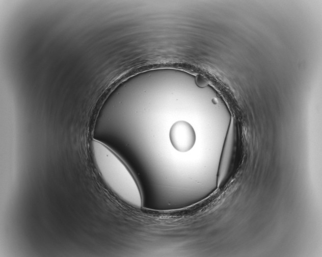 X0000096421265200801311405