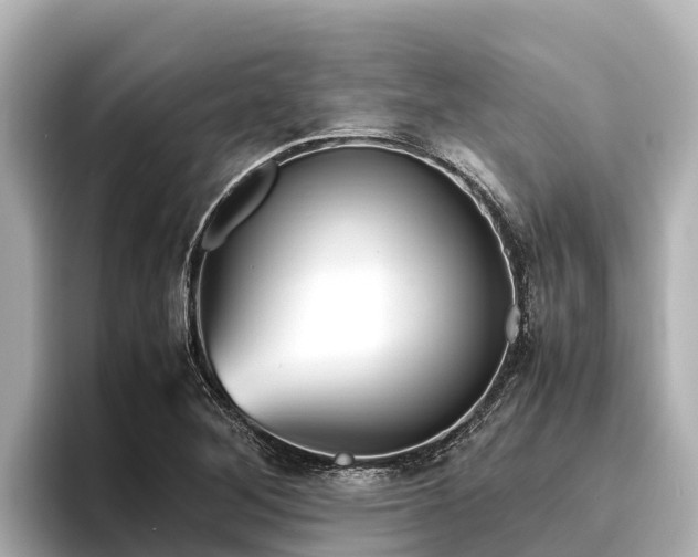 X0000096421268200801311405