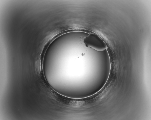 X0000096421269200801311405