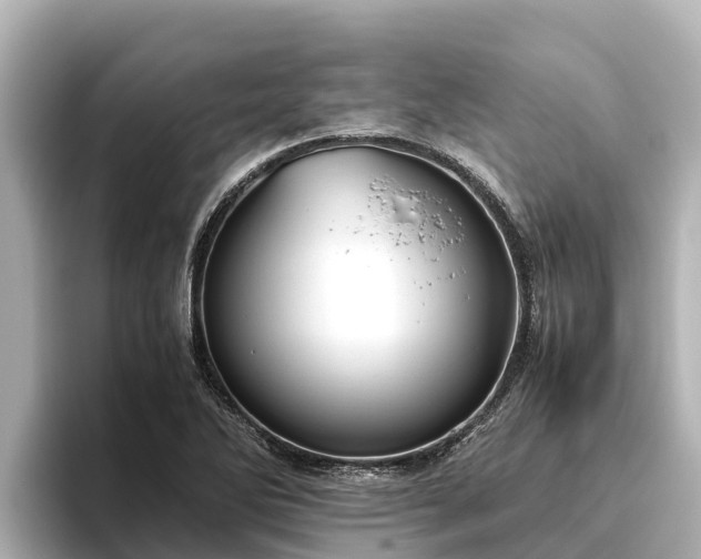 X0000096421270200801311405