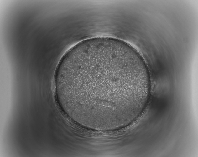 X0000096421271200801311405
