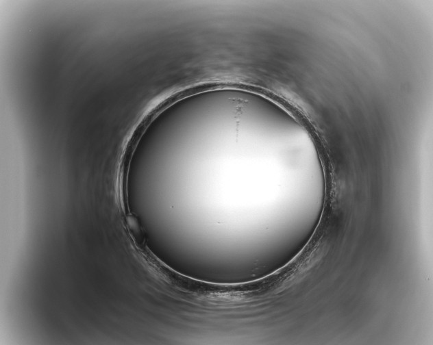 X0000096421272200801311405
