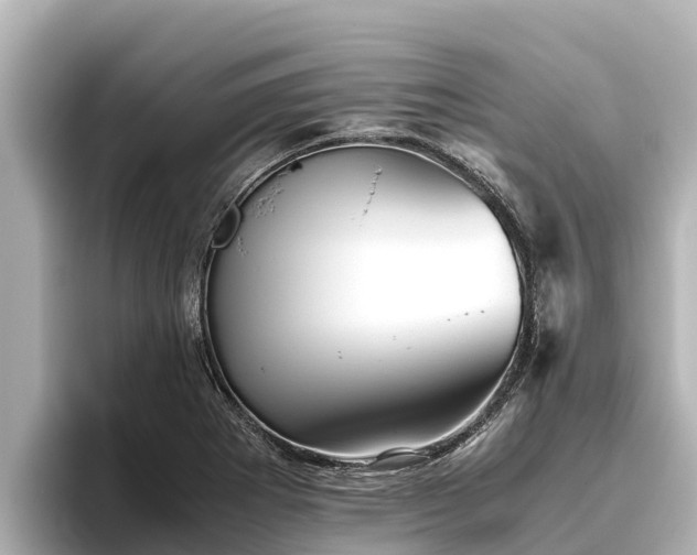 X0000096421273200801311405