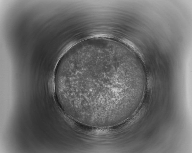 X0000096421274200801311405