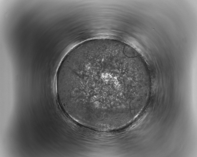 X0000096421275200801311405
