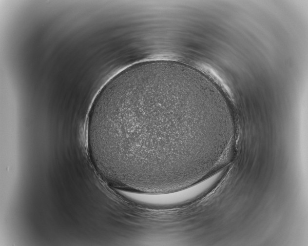X0000096421276200801311405