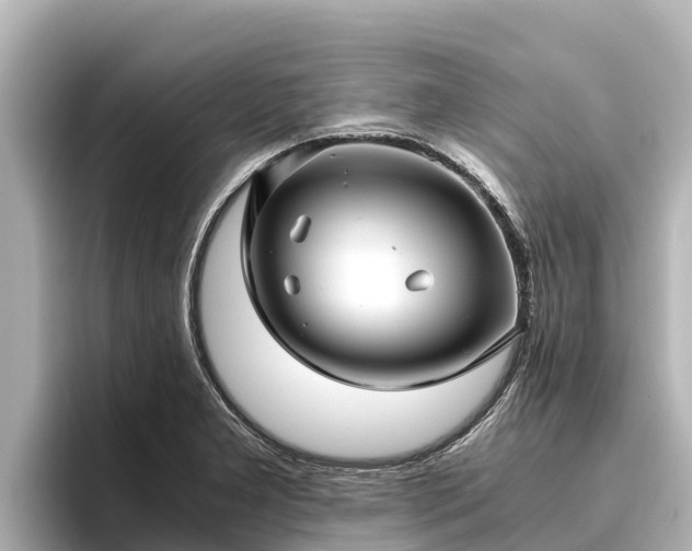 X0000096421277200801311405