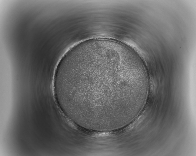 X0000096421278200801311405