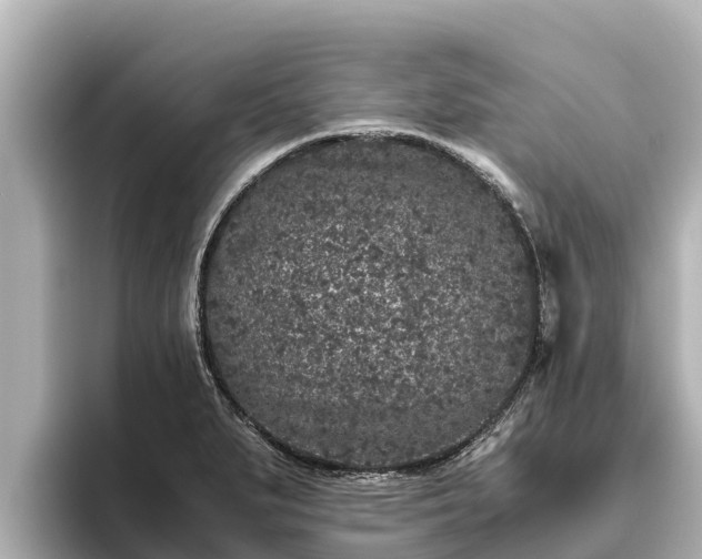 X0000096421279200801311405