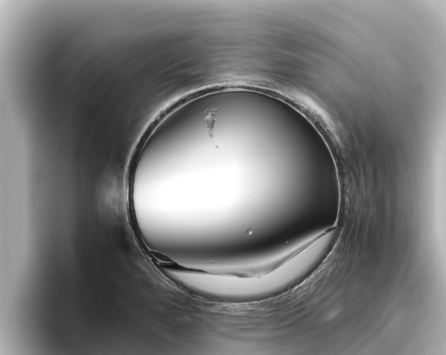 X0000096421280200801311405