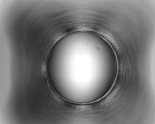 X0000096421281200801311405