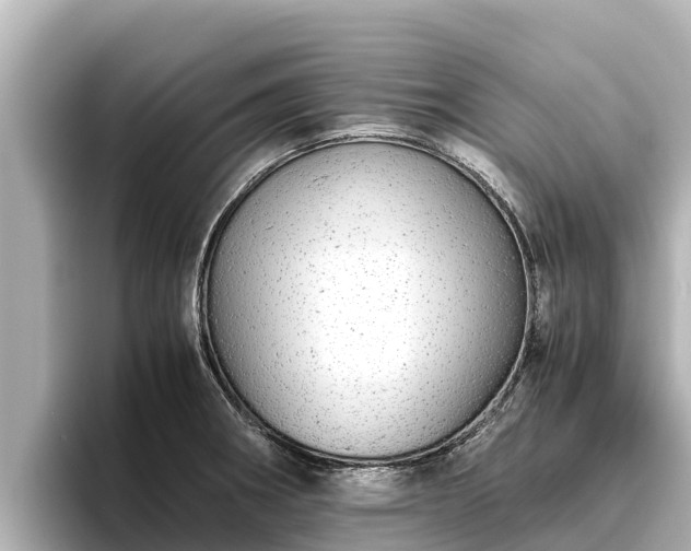 X0000096421282200801311405