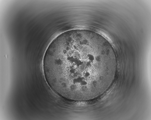 X0000096421283200801311405