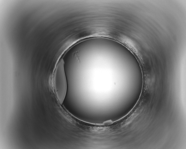 X0000096421284200801311405