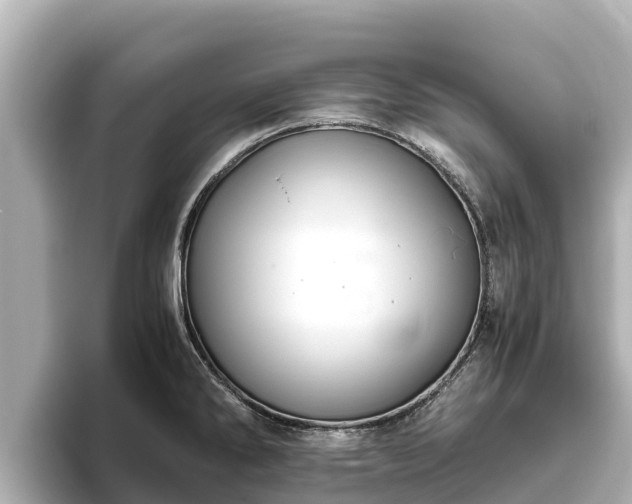 X0000096421286200801311405